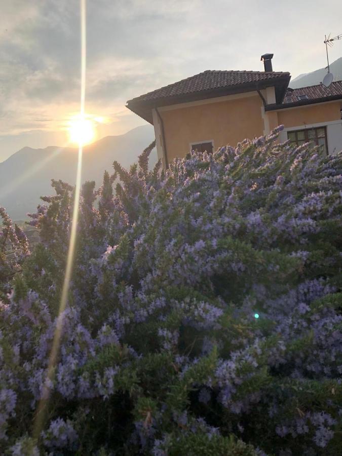 La Villa Degli Orti Borgo Valsugana 외부 사진